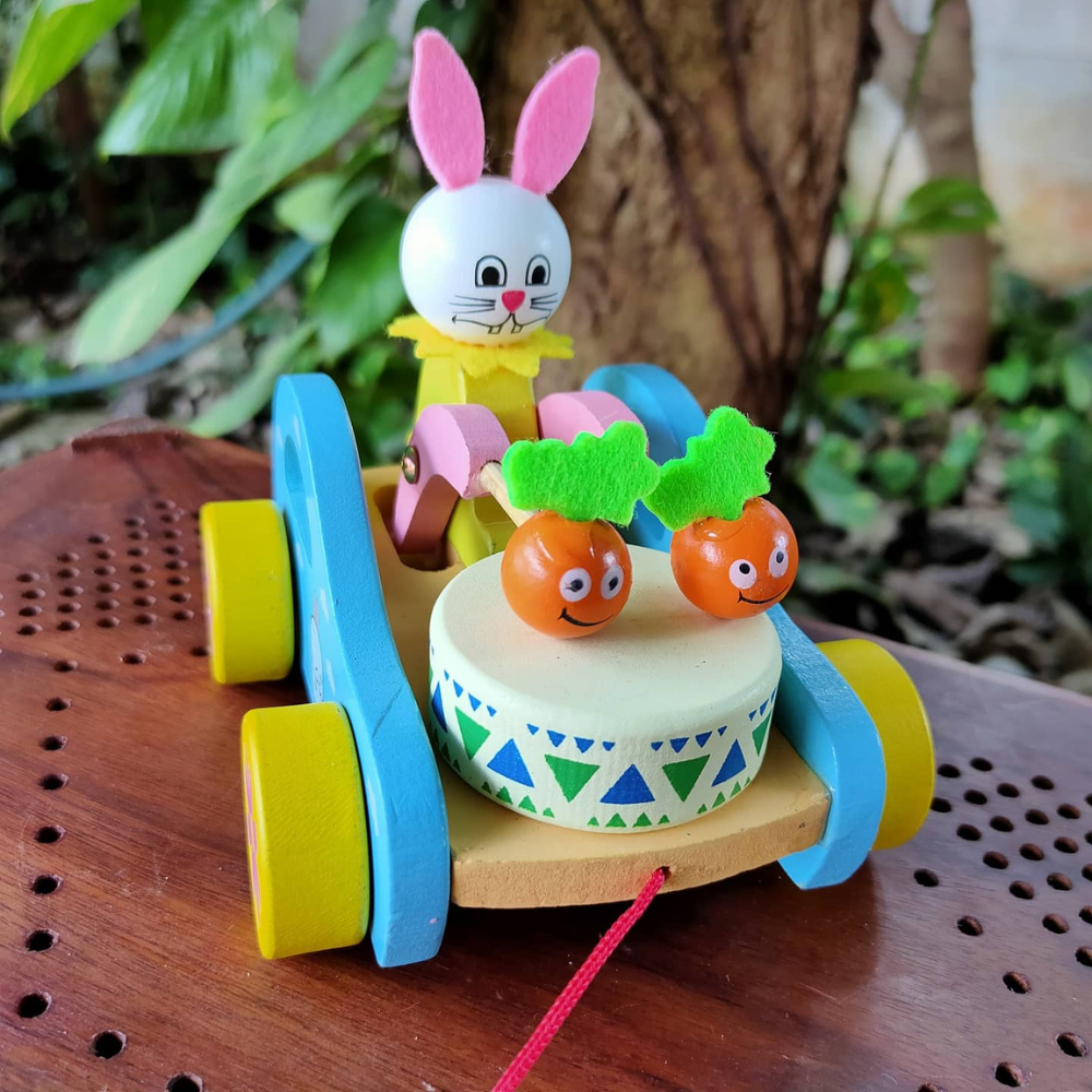 Bunny Pulling Toy